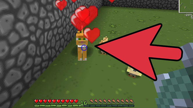 minecraft ocelot 6