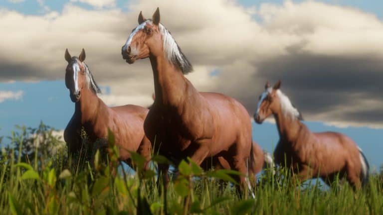 Red Dead Redemption 2 - лучшая порода лошадей Red Dead Redemption 2 - лучшая порода лошадей